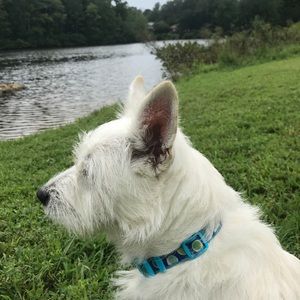 Meet your Posher, Aimee